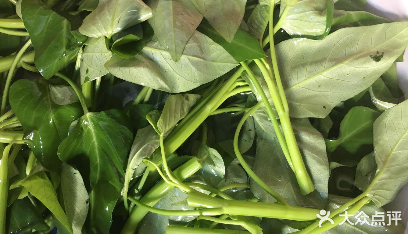 玉米夏季厨房养颜菜之炝炒空心菜