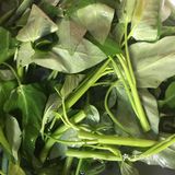 玉米夏季厨房养颜菜之炝炒空心菜