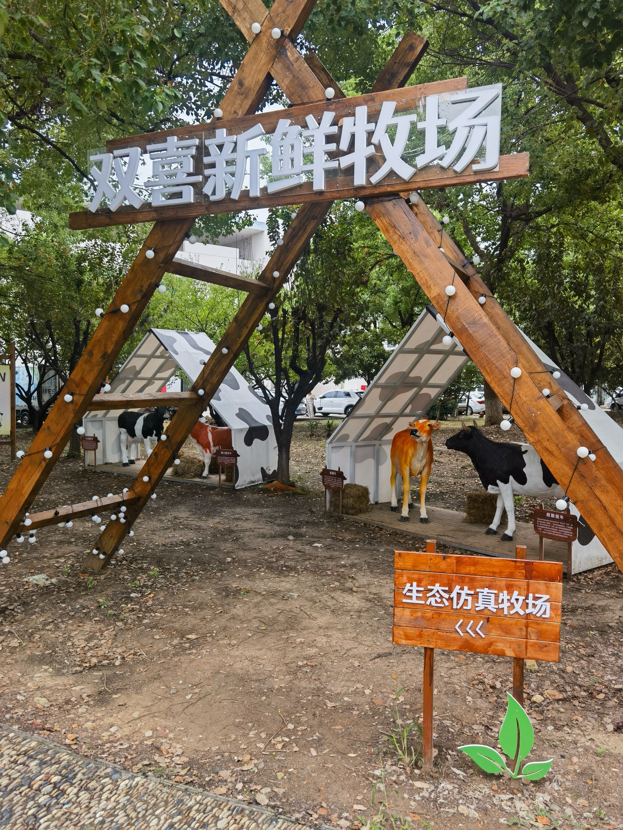 伊犁双喜酒厂图片