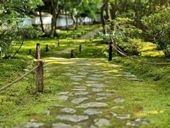 -西芳寺(苔寺)