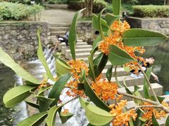 -宁波五龙潭景区