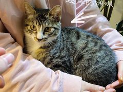 -平行世界·猫咖(首经贸店)