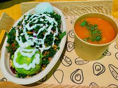 -油梨树AVOCADO TREE(望京店)