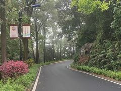 -广州市帽峰山景区