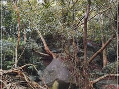 -七仙岭温泉国家森林公园