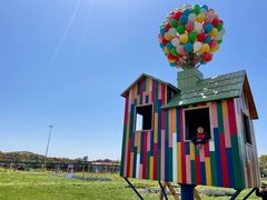 -苏州太湖西山岛开心农场