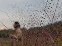 -艾溪湖湿地公园