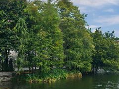 -荔湾湖公园