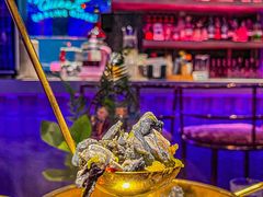 -Darling Queen·Mini·Live·House