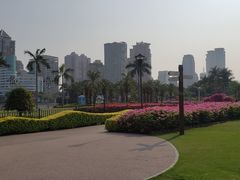 -白鹭洲公园