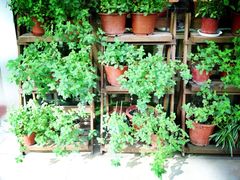 景观位-MIKAKU(万达广场上海宝山店)