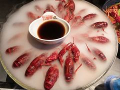 -红盔甲·小龙虾(人民广场店)
