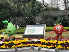 -晓港公园