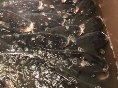 -上名堂·鱼头好吃(体育场路店)