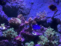 -杭州长乔极地海洋公园