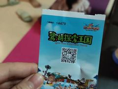 -美的鹭湖探索王国