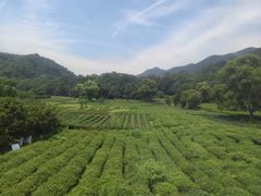 -灵顺寺