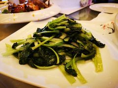 -扁鹊湖阿尔卡迪亚国际度假酒店
