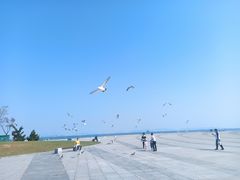 -东港音乐喷泉广场