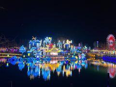 -淄博花灯齐彩城
