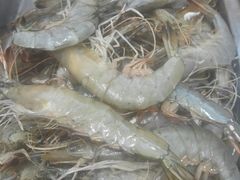 -兴隆海鲜菜馆