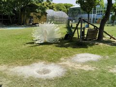 -苏州太湖西山岛开心农场
