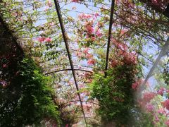 -The Grounds of Alexandria