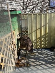 -萌宠亲子动物乐园(槐房万达店)