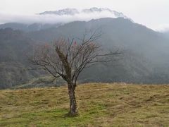 -硗碛藏寨·神木垒景区