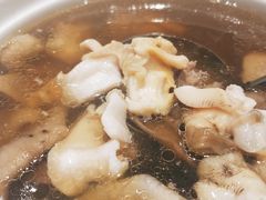 松茸菌炖响螺-丰鲤楼•闽南茶楼(仟禧汇店)