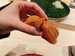 -嶺寿司