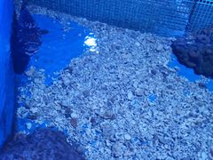 -白鹿仓冰雪海洋世界