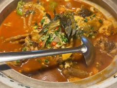 -魏铭鱼头捞饭(晋阳路店)