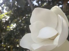 -台儿庄大战纪念馆