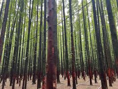 -山王坪喀斯特国家生态公园