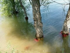 android_upload_pic-易水湖景区