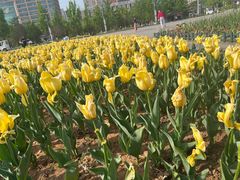 -泉城广场