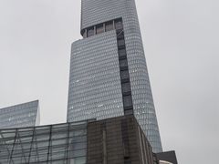 -紫峰大厦