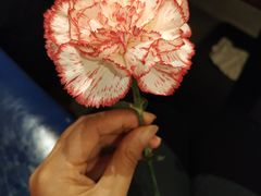 -火宫殿·湘菜小吃·商务宴请·生日聚会(东塘店)