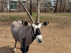 -大连森林动物园