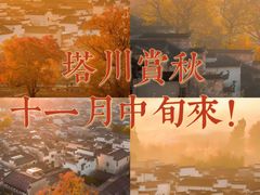 -塔川景区