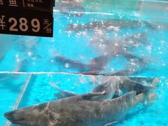 -艳阳天·非遗楚菜(武汉客厅店)