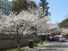 -团城山公园