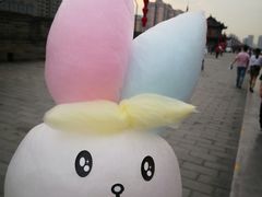 -西安唐皇城墙含光门遗址博物馆