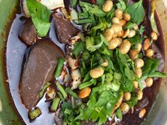 -大邑李记肥肠血旺