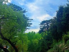 -五台山风景名胜区