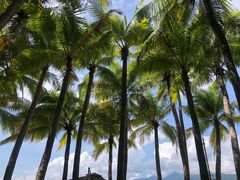 -三亚凤凰水城凯莱度假酒店