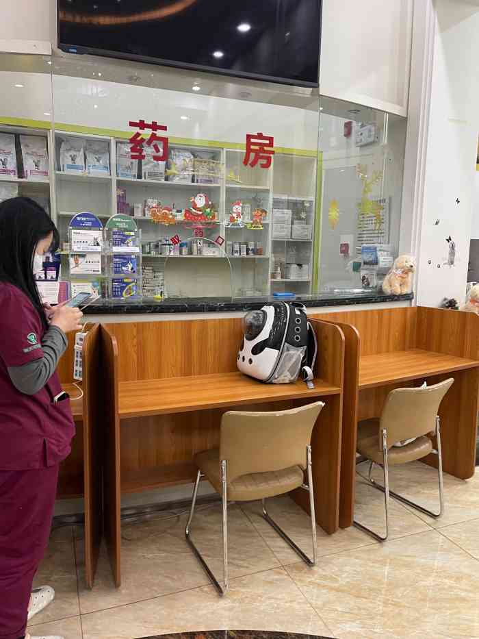 瑞派爱宠联盟动物医院-"【项目】体检猫咪有呕吐症状,网上团购了.