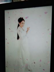 -红颜印画古风汉服艺术摄影