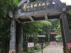 -东林大峡谷